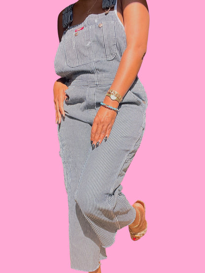 Denim Pinstripe Overalls