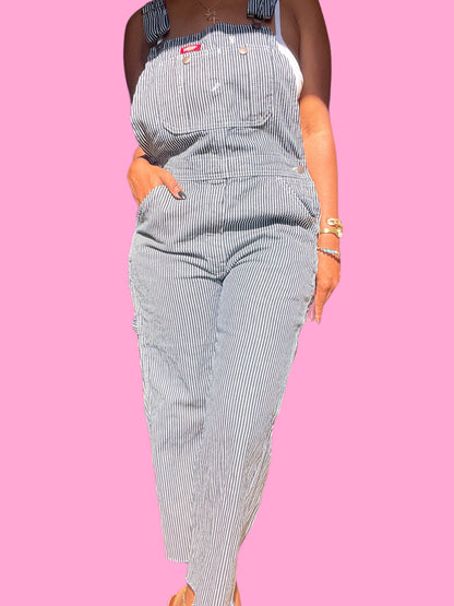 Denim Pinstripe Overalls